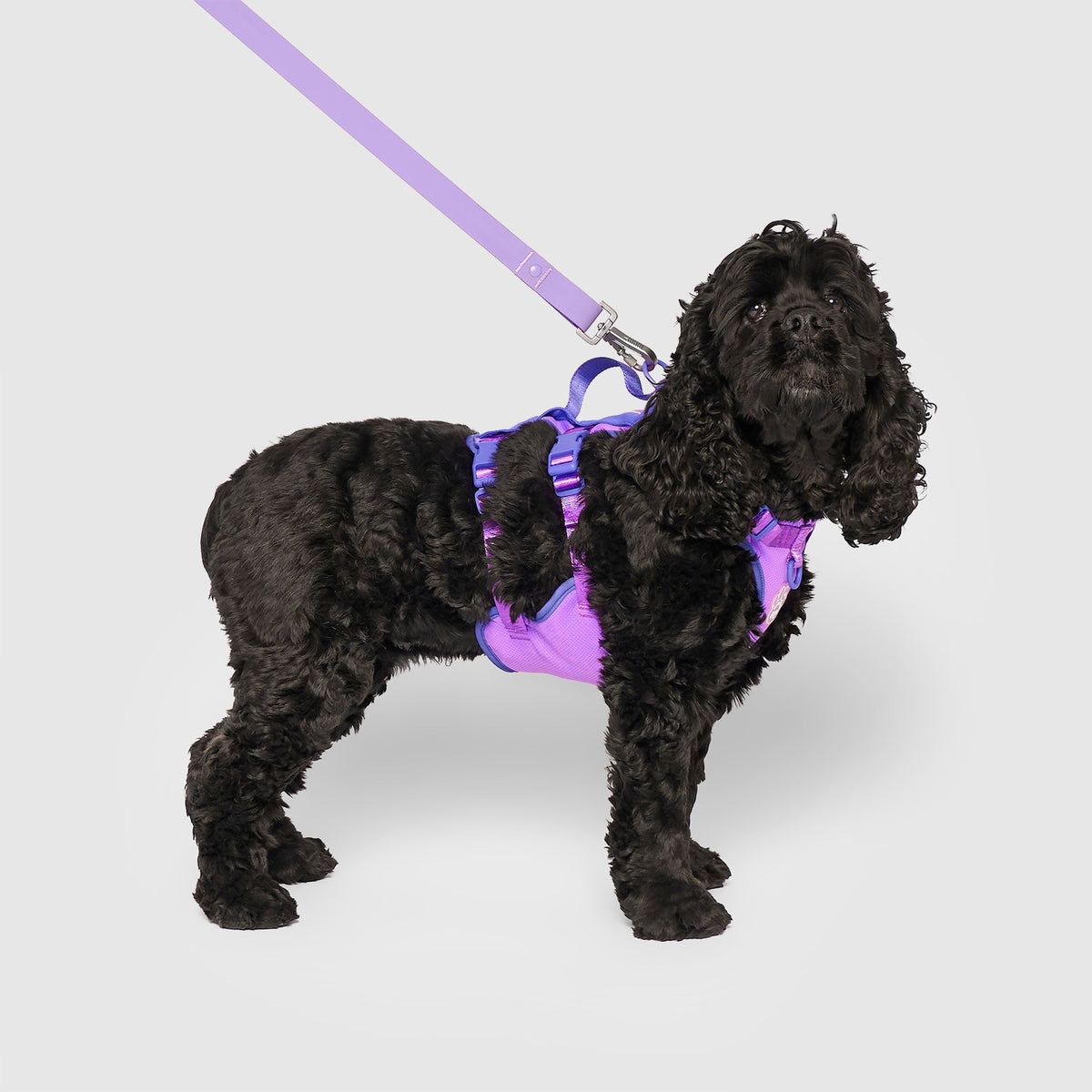Max Chill Cooling Harness