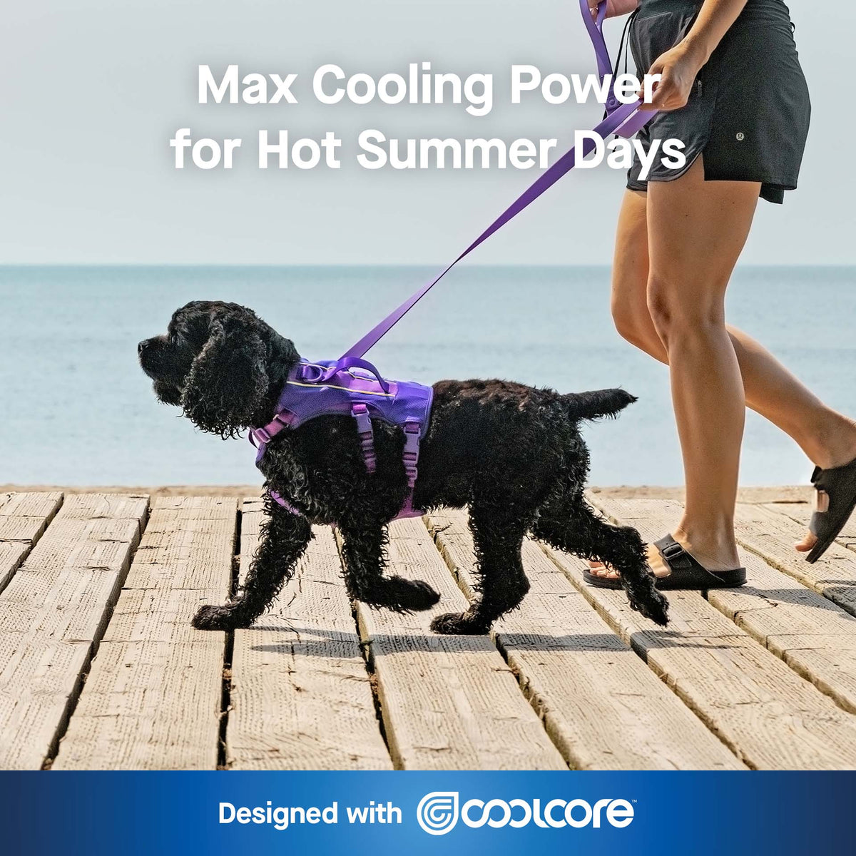 Max Chill Cooling Harness