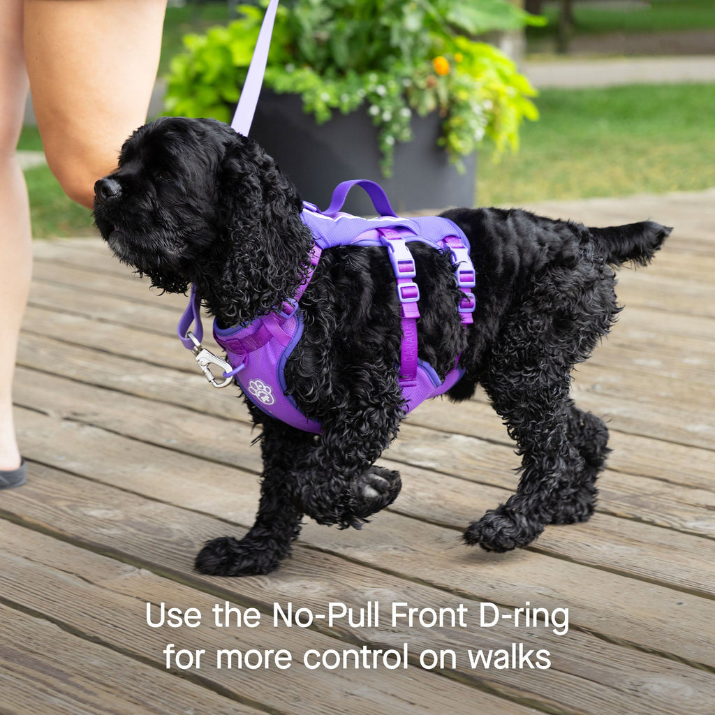 Max Chill Cooling Harness