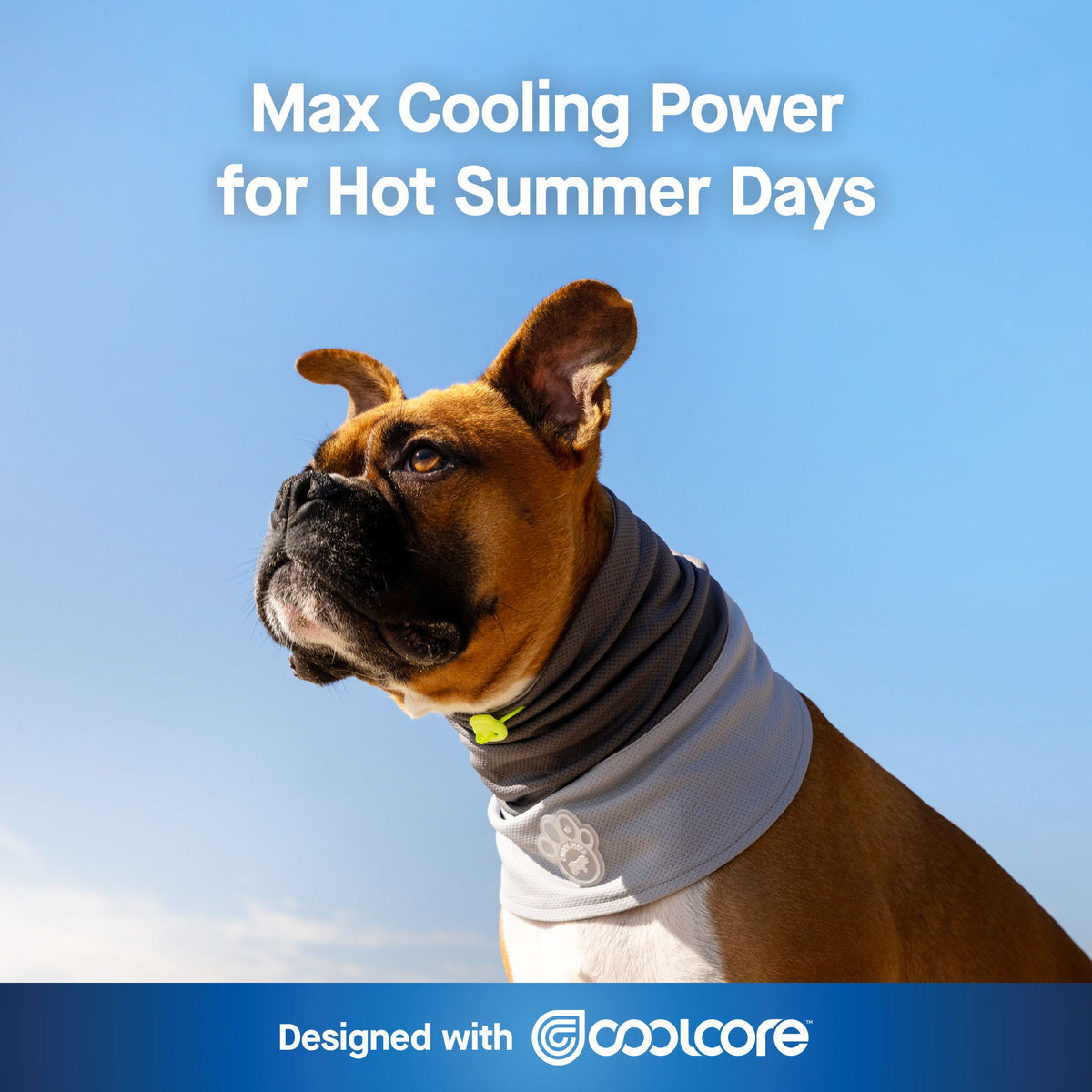 Max Chill Cooling Snood