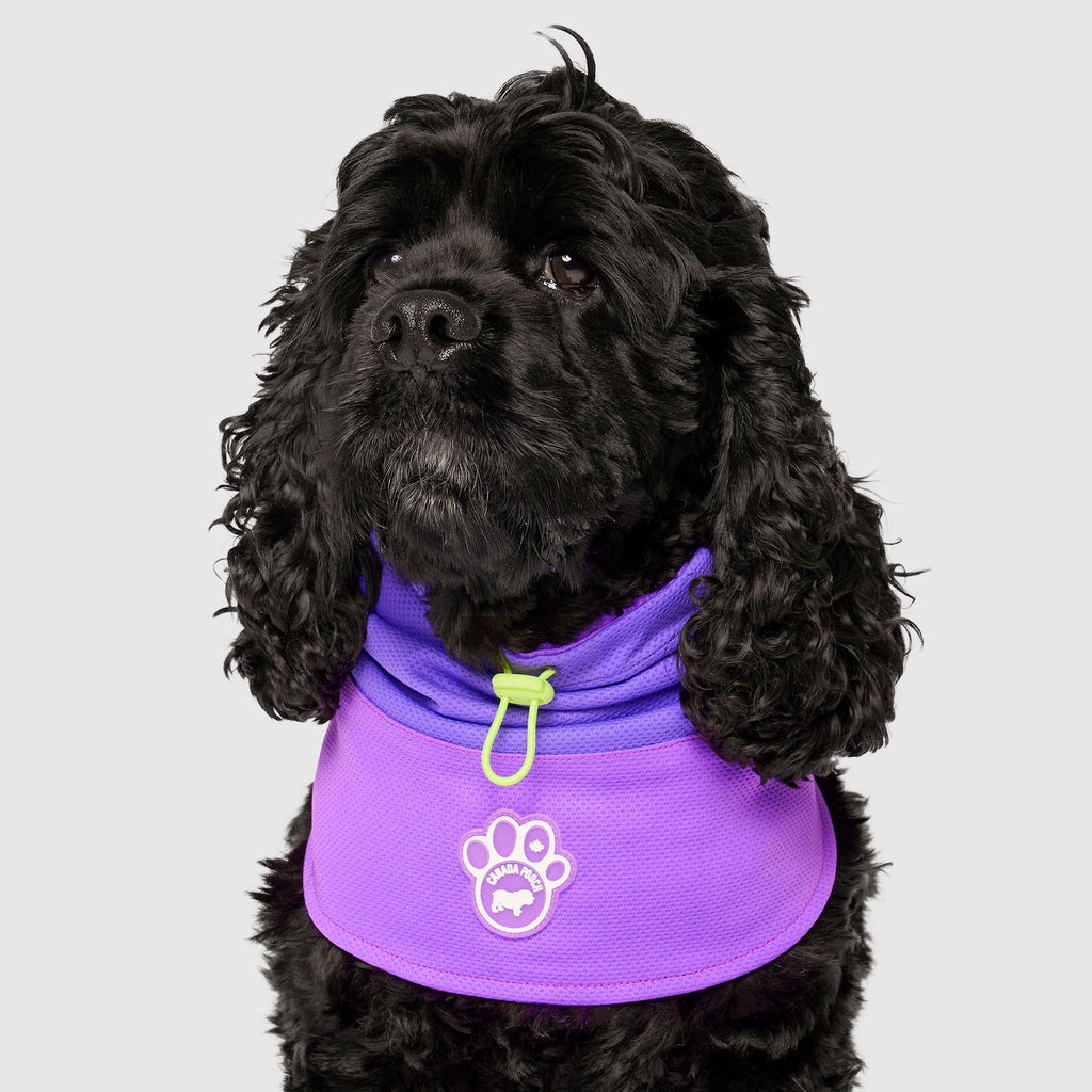 Max Chill Cooling Snood