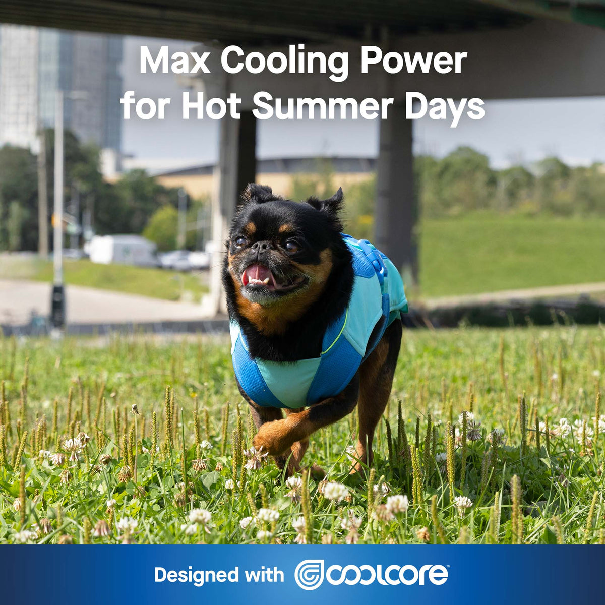 Max Chill Cooling Vest