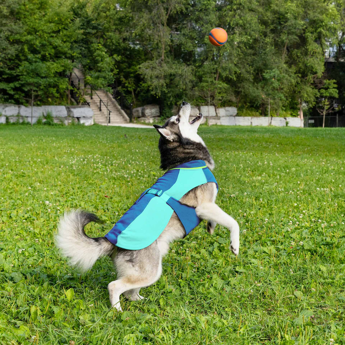Max Chill Cooling Vest