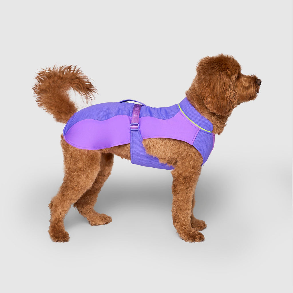 Max Chill Cooling Vest
