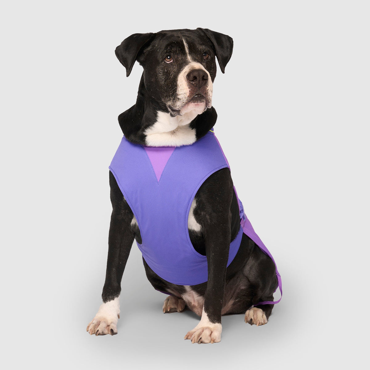 Max Chill Cooling Vest