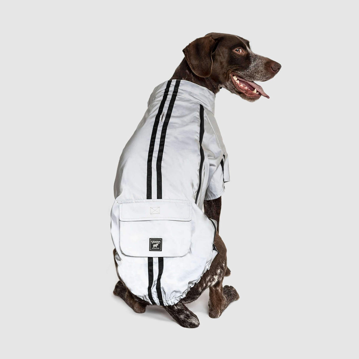 Night Vision Reflective Jacket