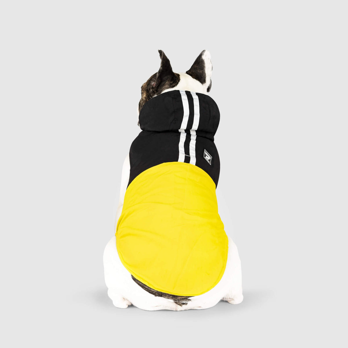 Pack It Jacket