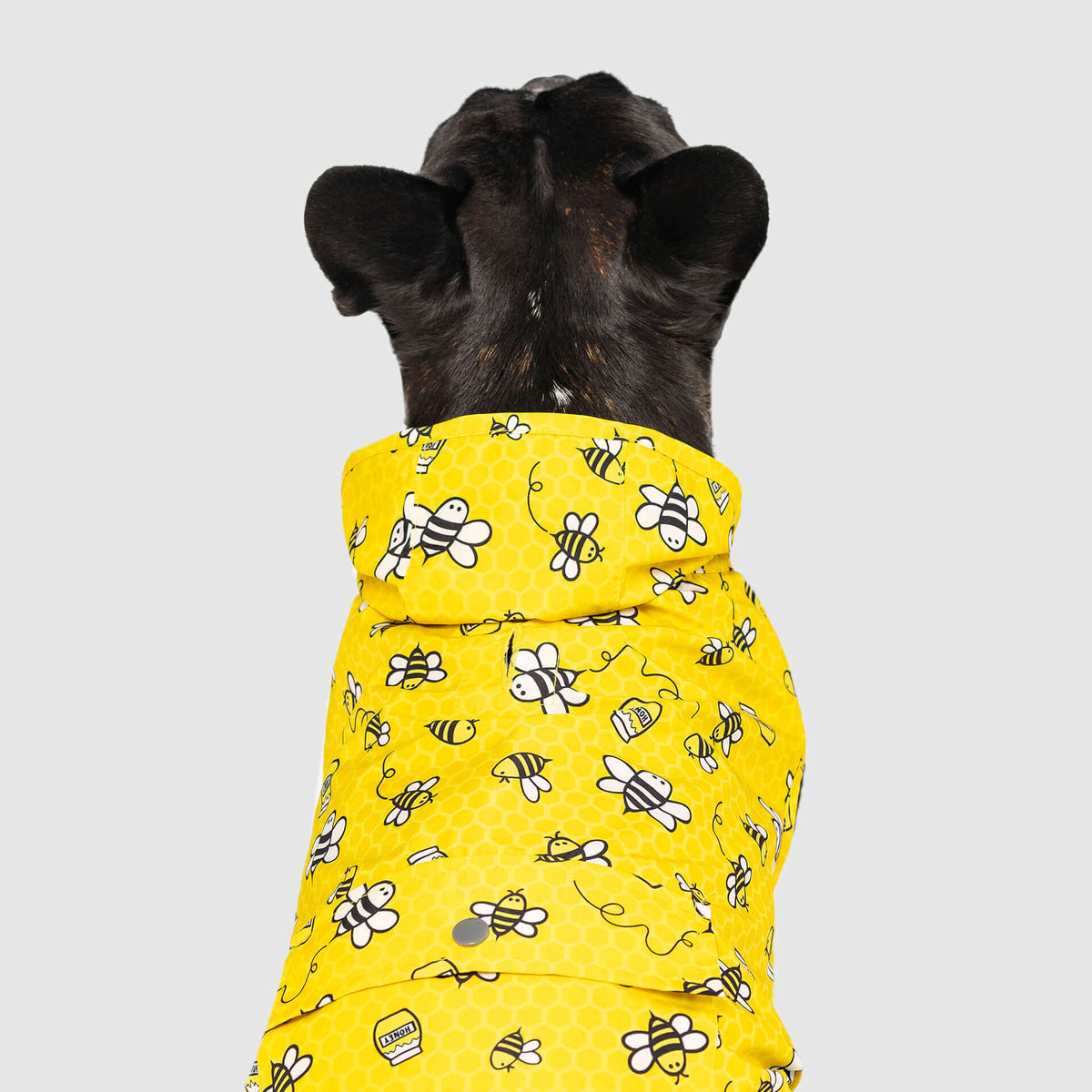 Pick Me Poncho