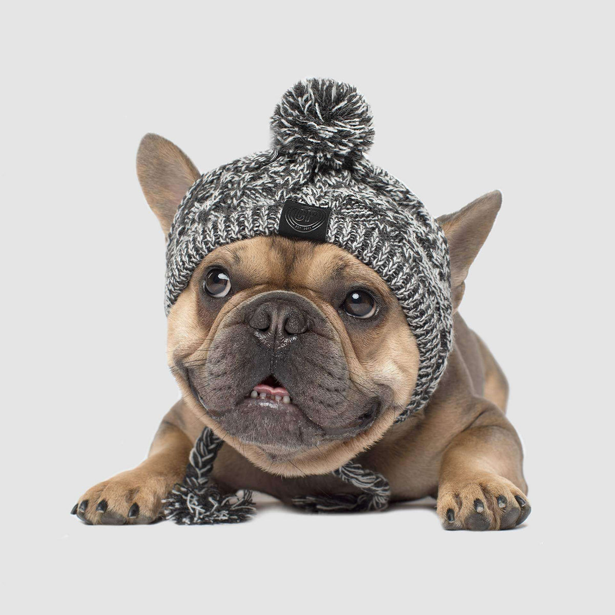 Polar Pom Pom Hat