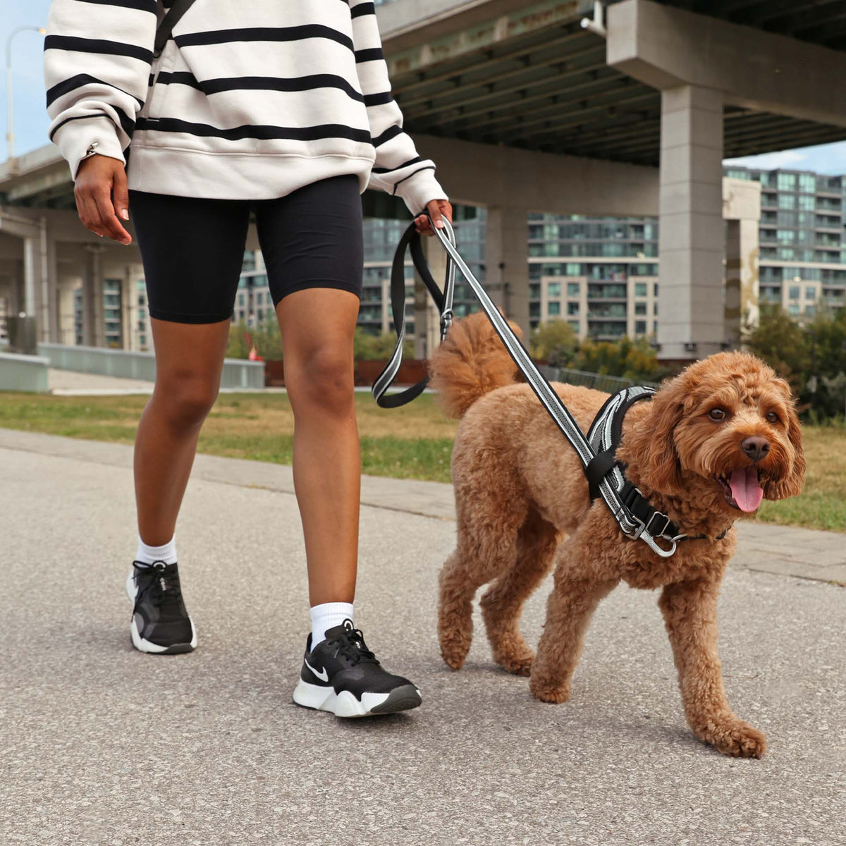 Jacquard Leash