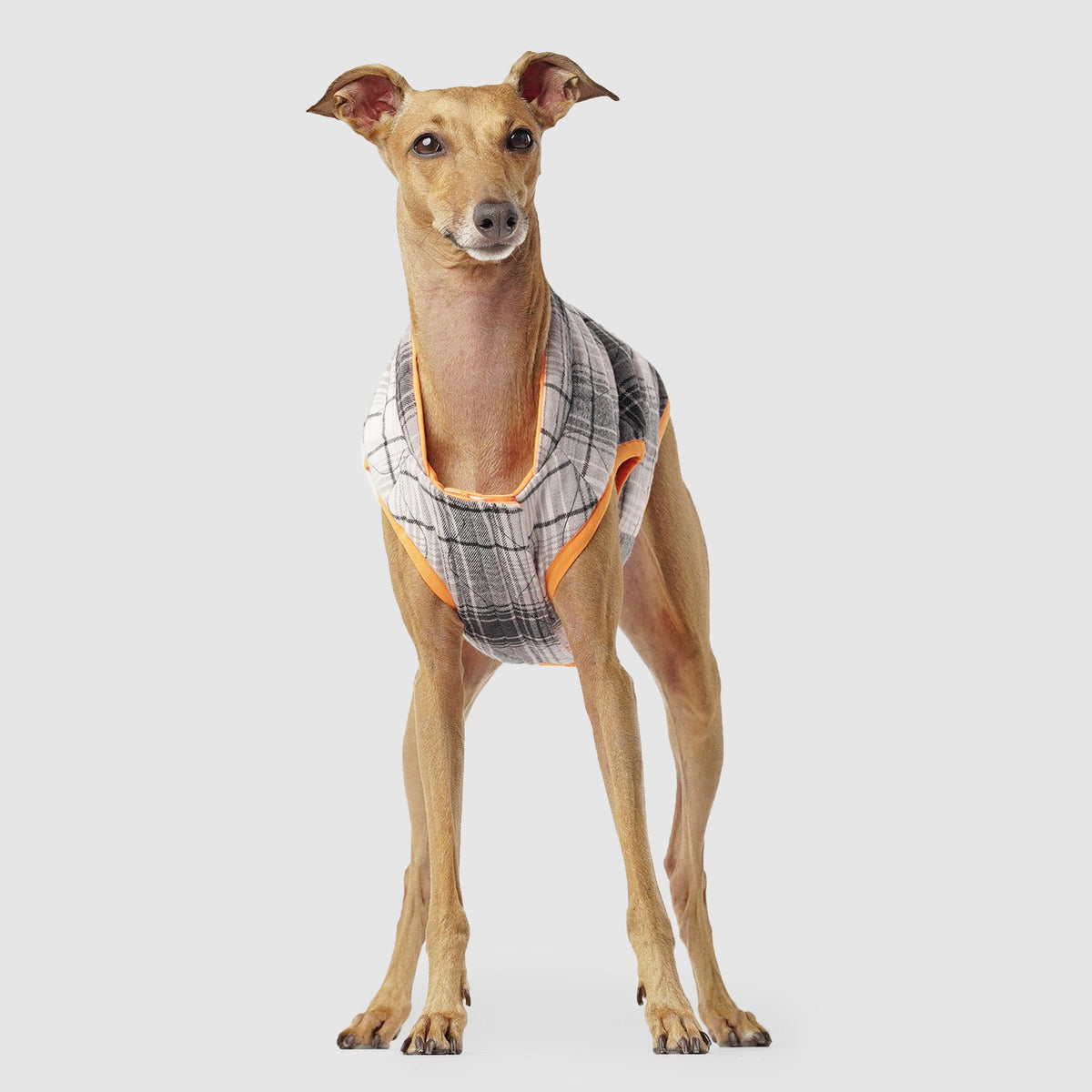 Reversible Vest