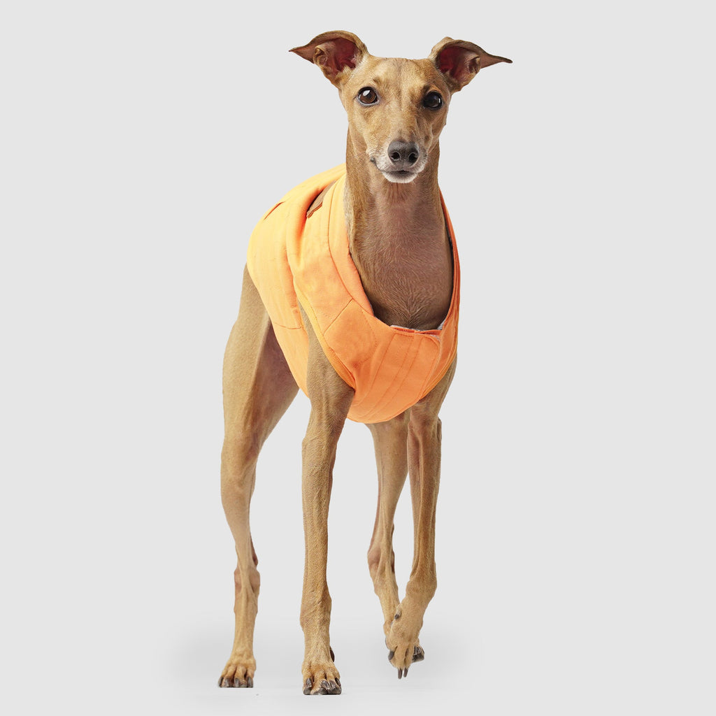 Reversible Vest