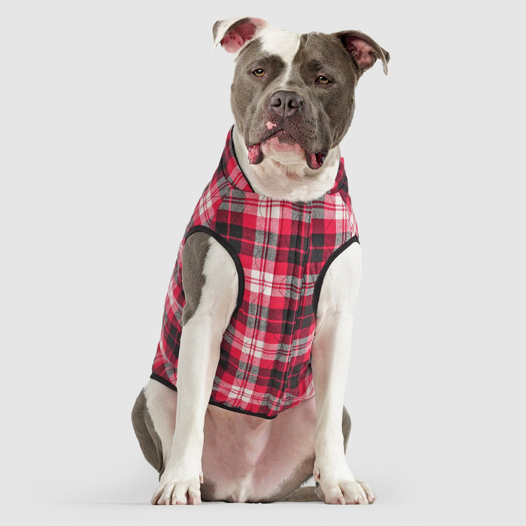 Reversible Vest