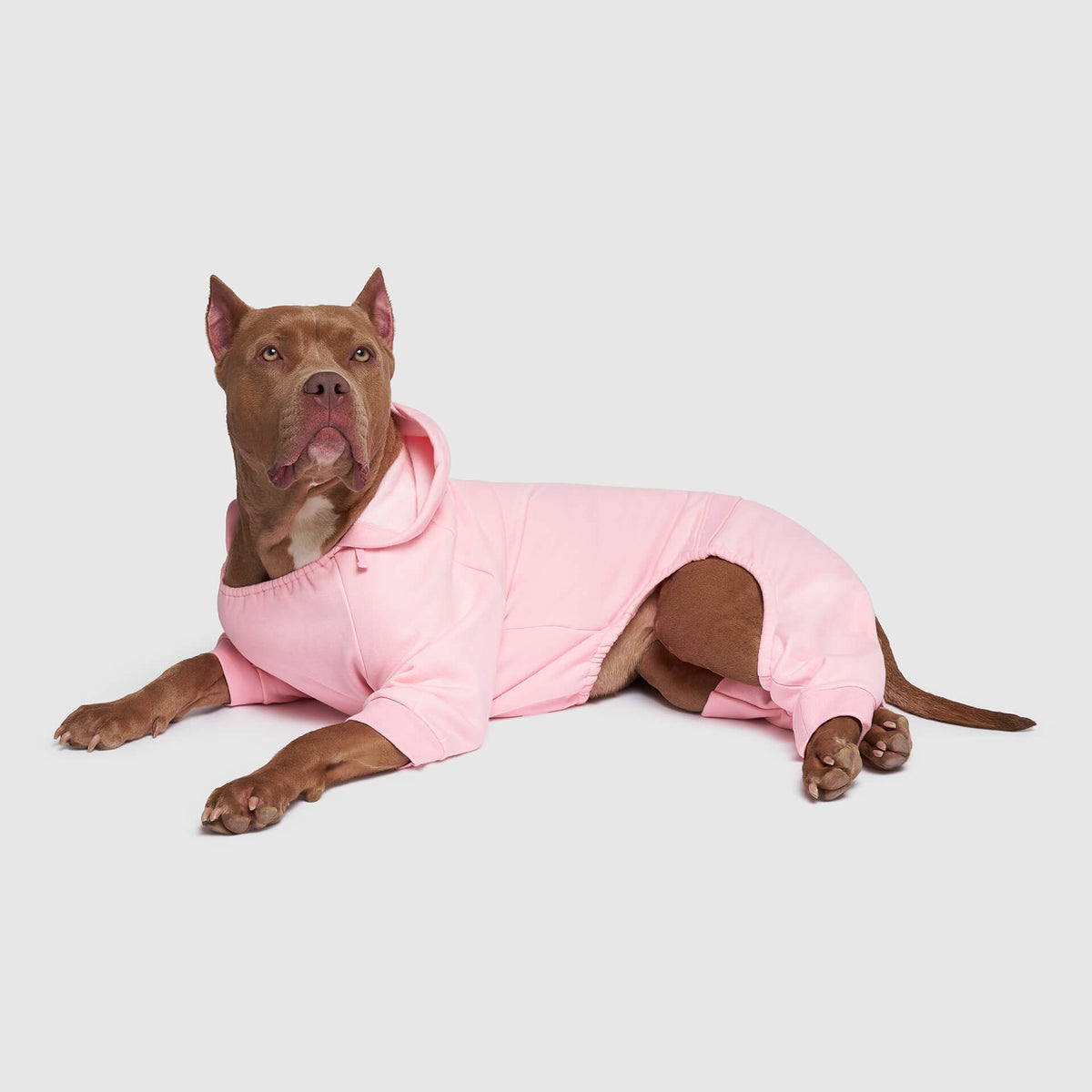 Soft Side Sweatsuit