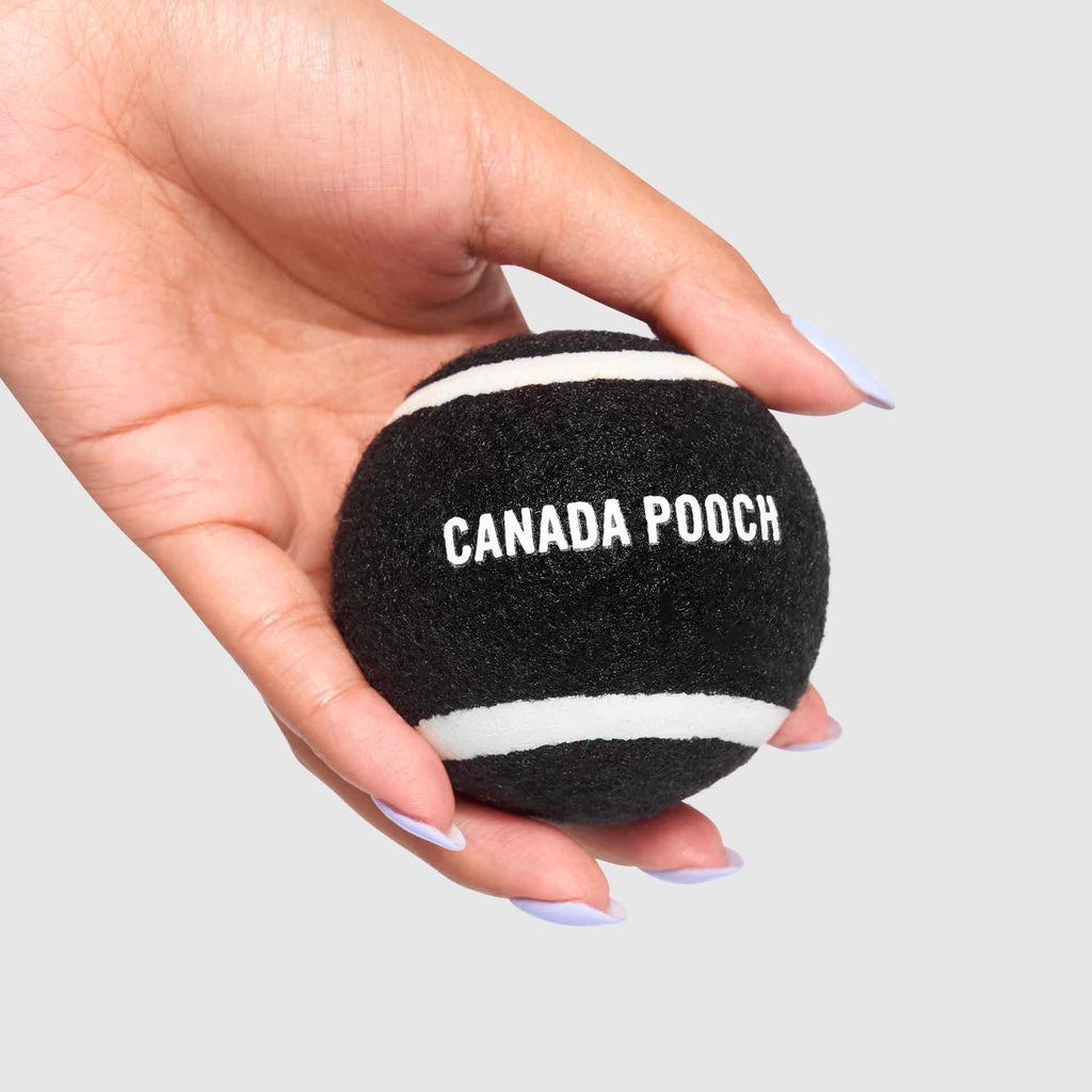Go Fetch Tennis Ball & Silicone Holder