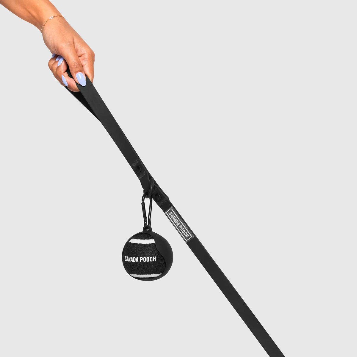 Go Fetch Tennis Ball & Silicone Holder