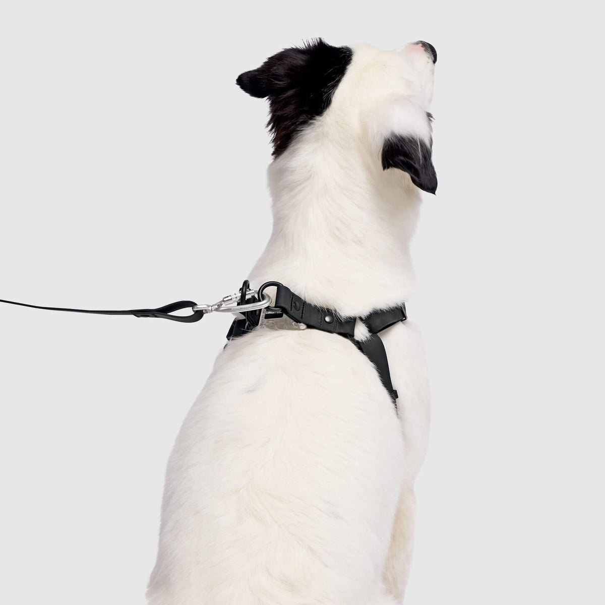 Waterproof Harness