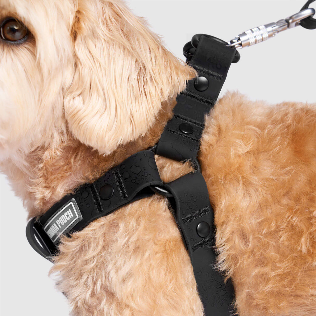 Waterproof Harness