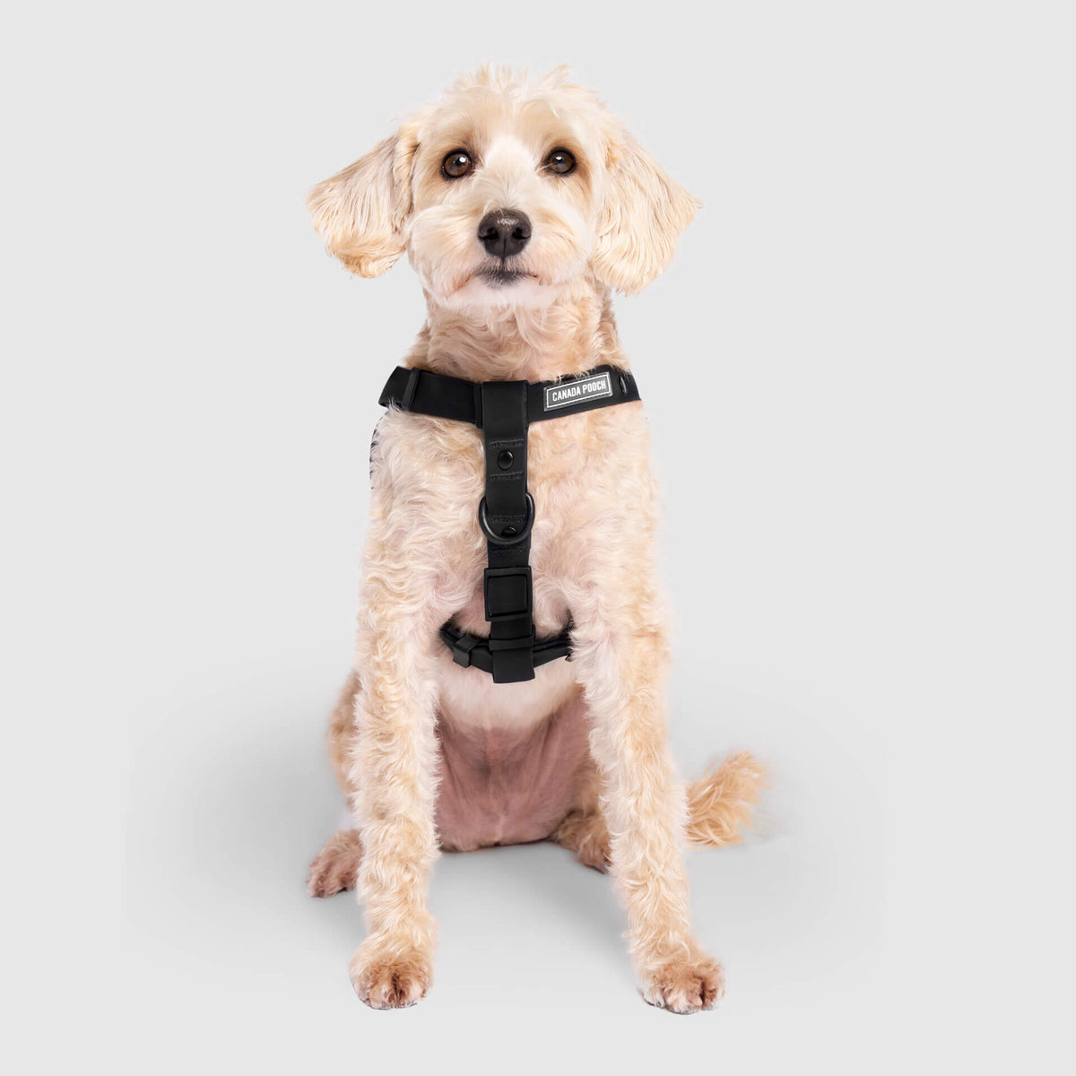 Waterproof Harness