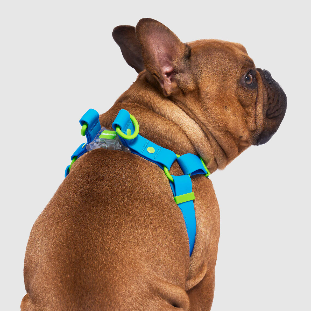 Waterproof Harness