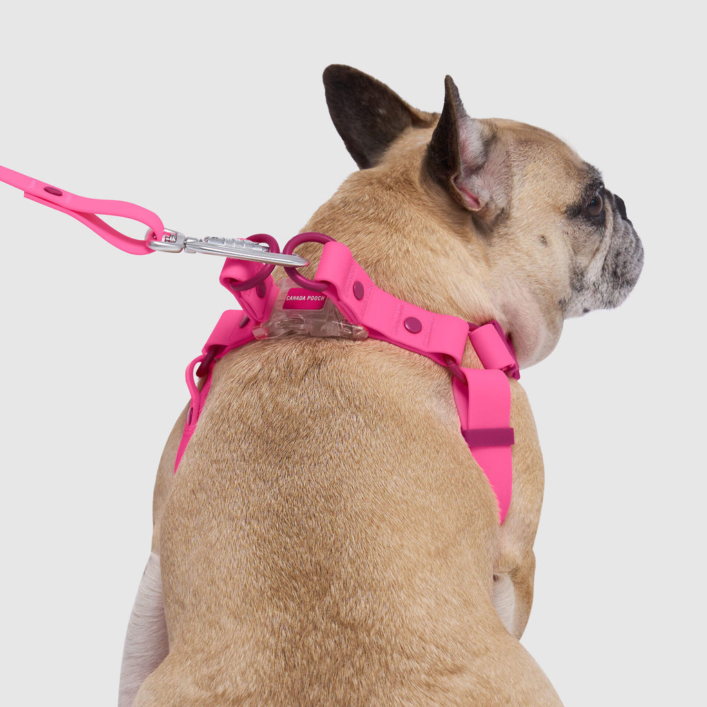 Waterproof Harness