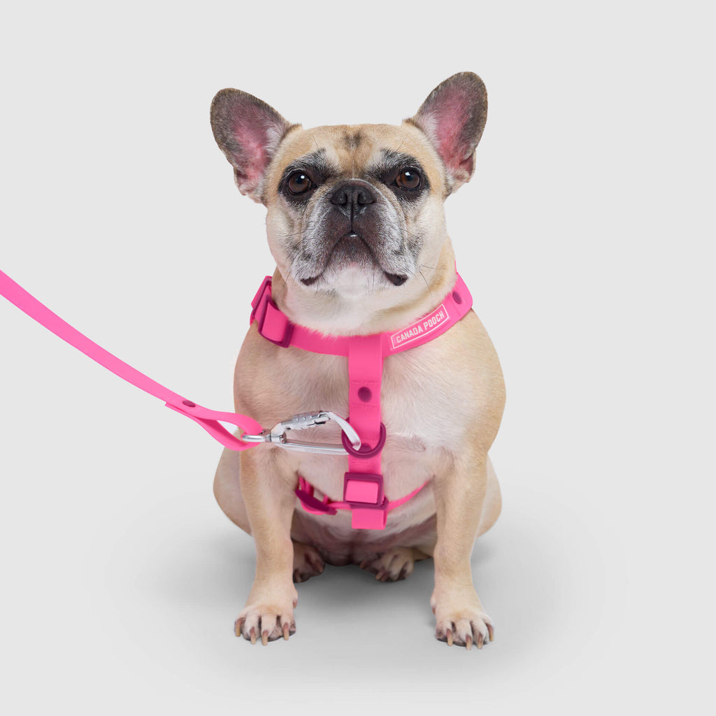Waterproof Harness
