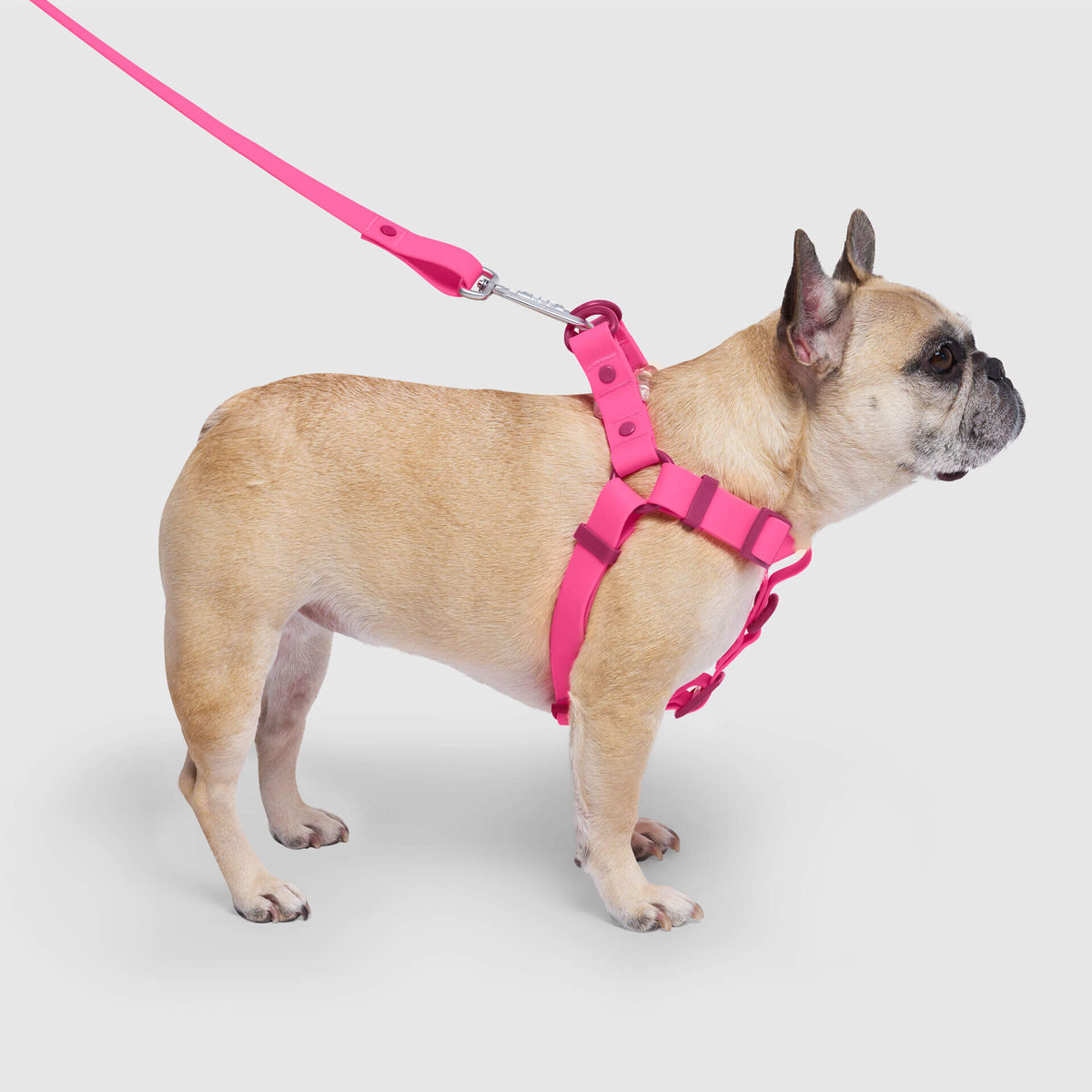 Waterproof Harness