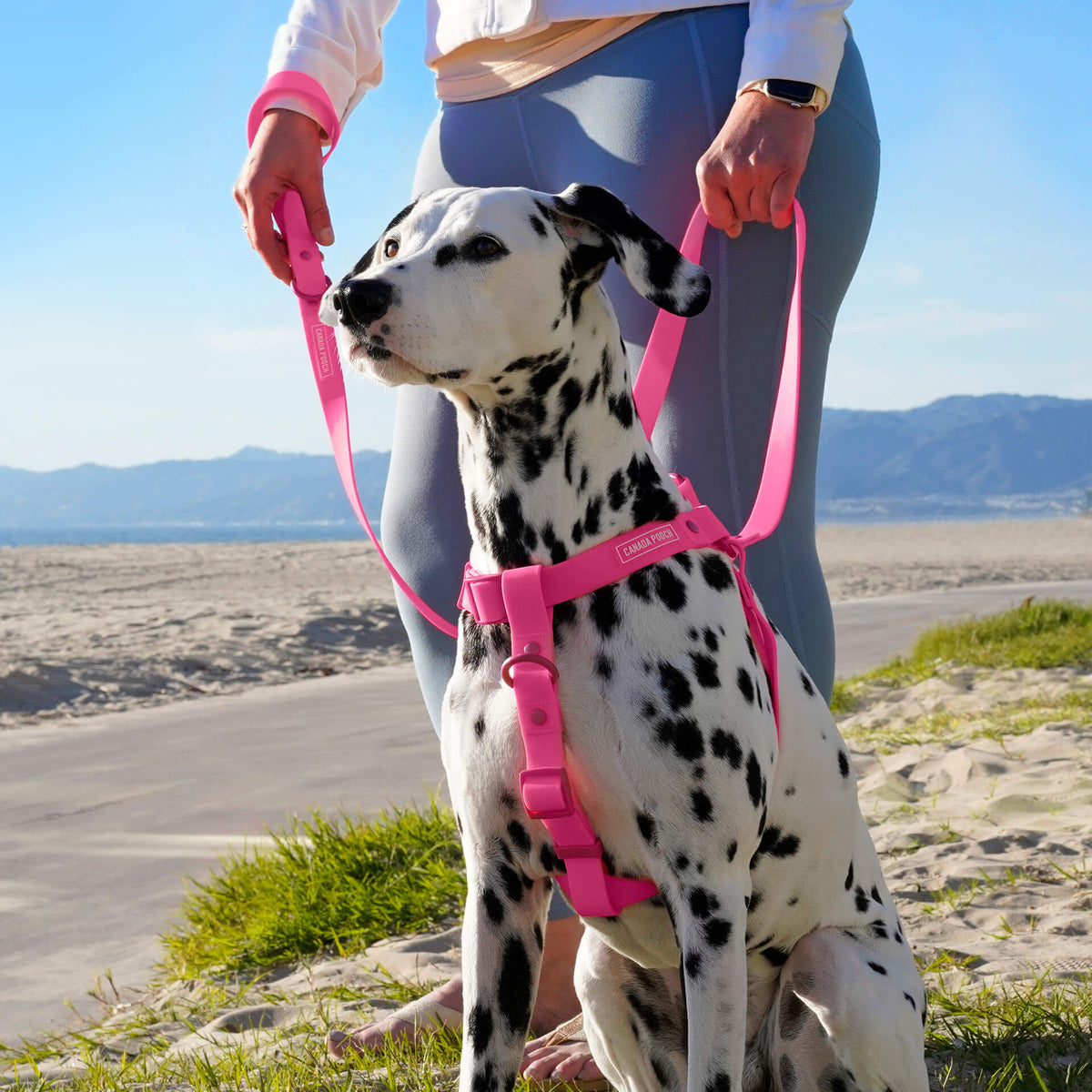 Waterproof Harness