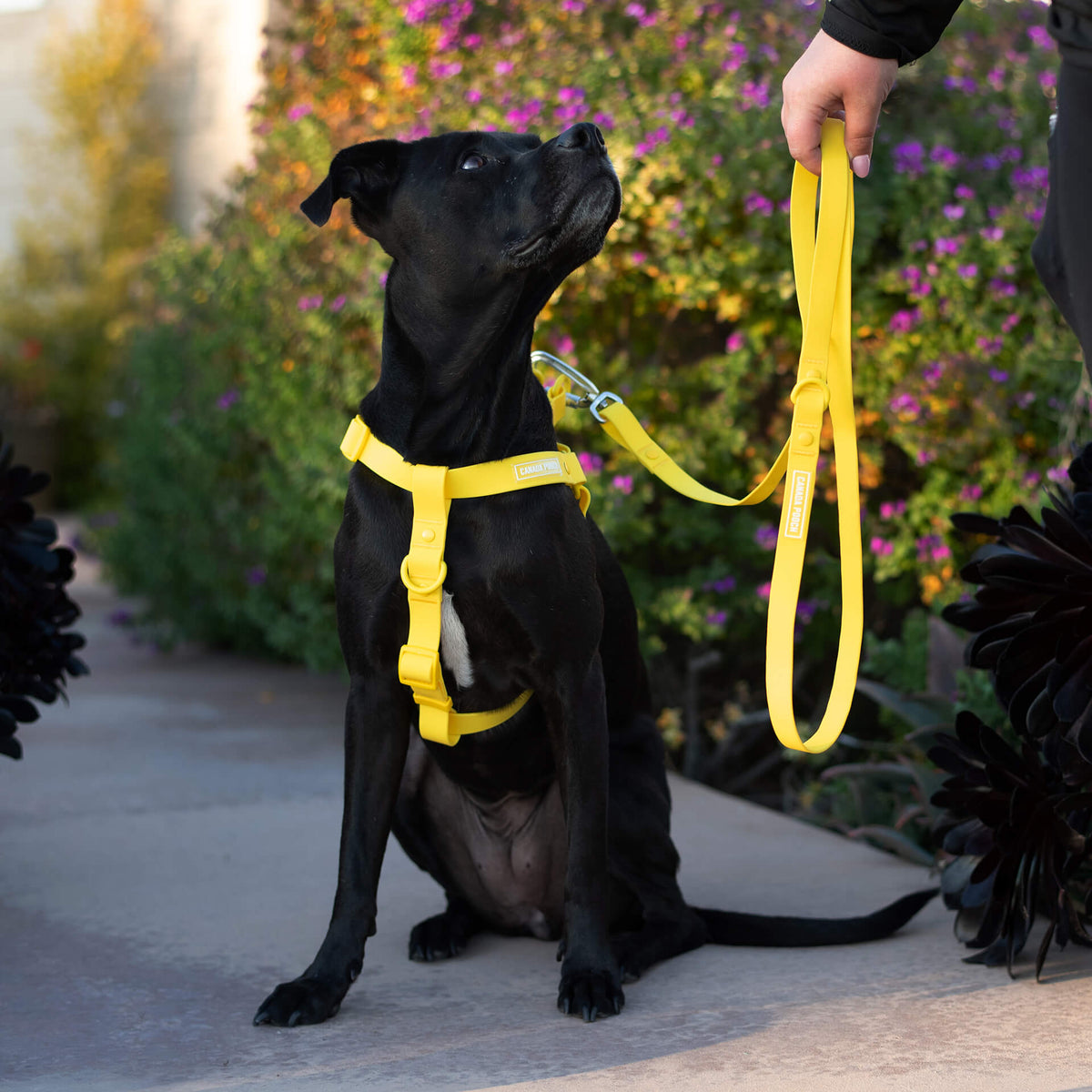 Waterproof Harness