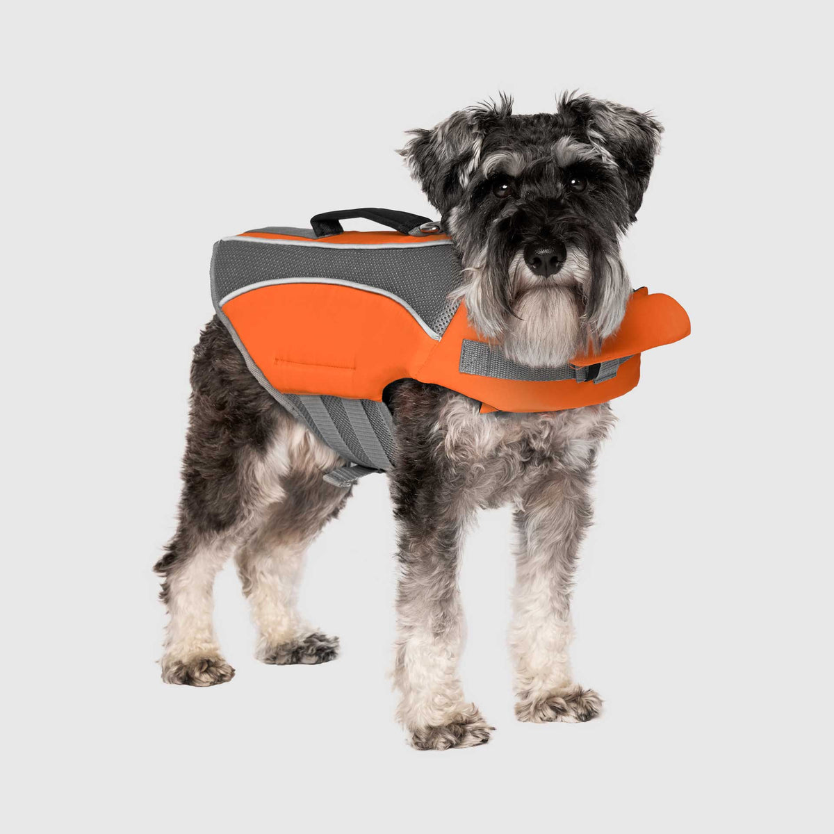 Wave Rider Life Jacket