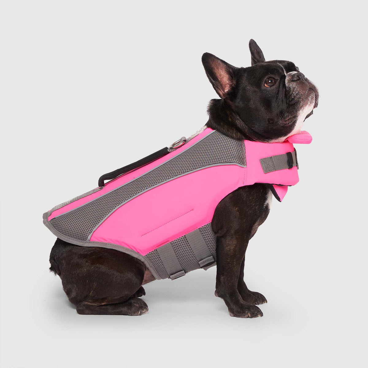 Wave Rider Life Jacket